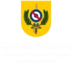 Logo Ejército Nacional