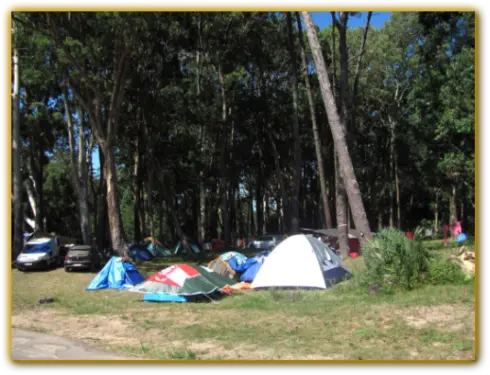 Tents in the Camping Area