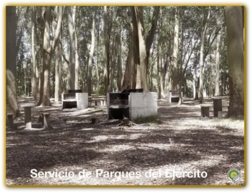 Áreas para churrasco em família